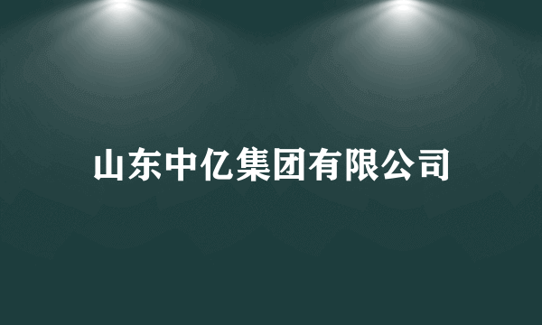 山东中亿集团有限公司