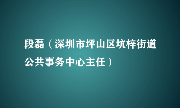 段磊（深圳市坪山区坑梓街道公共事务中心主任）