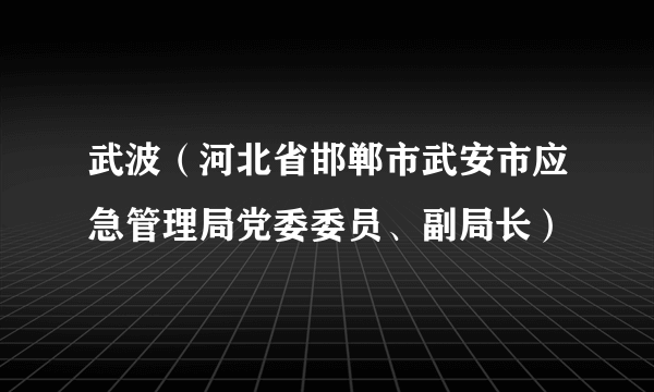 武波（河北省邯郸市武安市应急管理局党委委员、副局长）