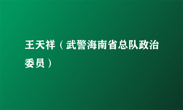 王天祥（武警海南省总队政治委员）