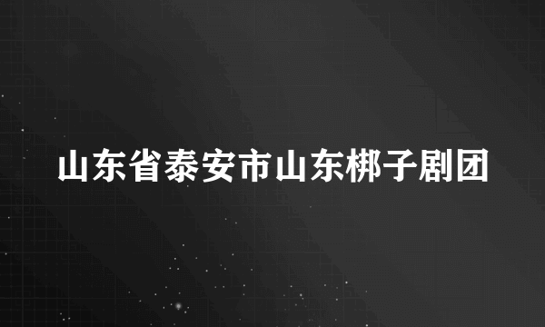 山东省泰安市山东梆子剧团