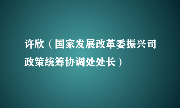 许欣（国家发展改革委振兴司政策统筹协调处处长）