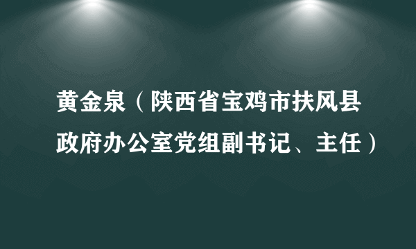 黄金泉（陕西省宝鸡市扶风县政府办公室党组副书记、主任）