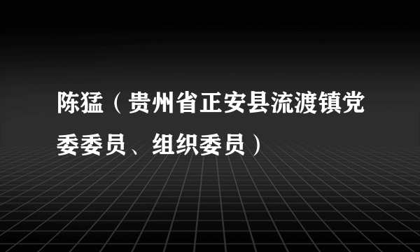 陈猛（贵州省正安县流渡镇党委委员、组织委员）