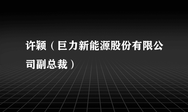 许颖（巨力新能源股份有限公司副总裁）