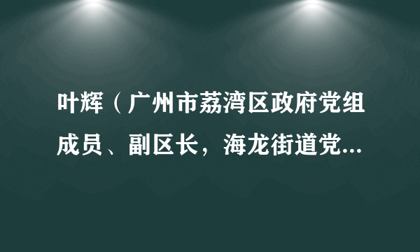 叶辉（广州市荔湾区政府党组成员、副区长，海龙街道党工委书记）