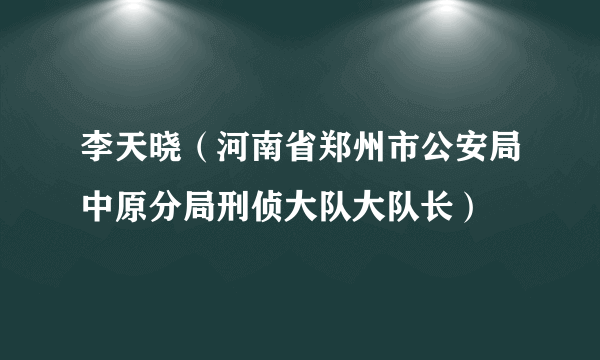 李天晓（河南省郑州市公安局中原分局刑侦大队大队长）