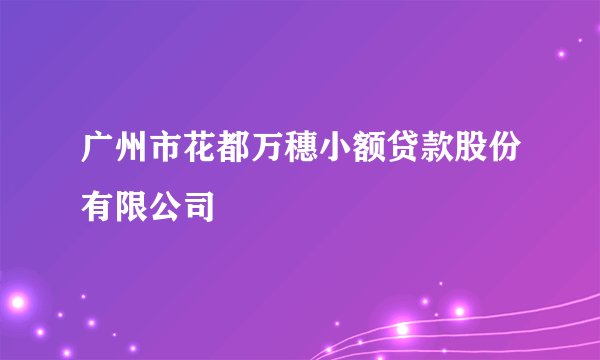 广州市花都万穗小额贷款股份有限公司