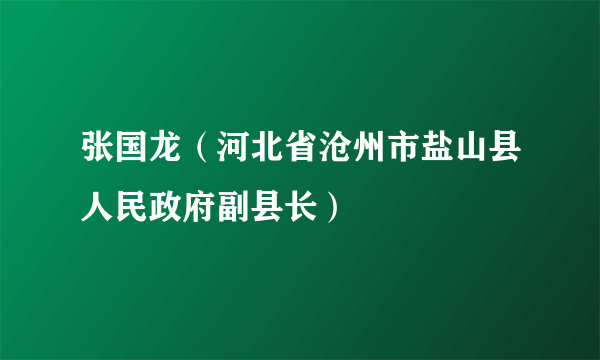 张国龙（河北省沧州市盐山县人民政府副县长）