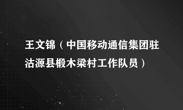 王文锦（中国移动通信集团驻沽源县椴木梁村工作队员）