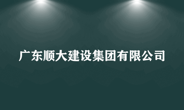 广东顺大建设集团有限公司