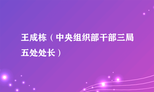 王成栋（中央组织部干部三局五处处长）