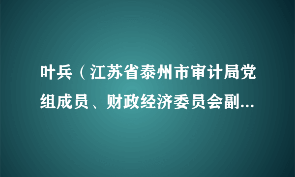 叶兵（江苏省泰州市审计局党组成员、财政经济委员会副主任委员）