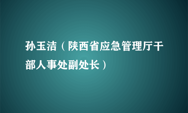 孙玉洁（陕西省应急管理厅干部人事处副处长）