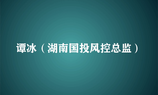 谭冰（湖南国投风控总监）