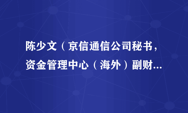 陈少文（京信通信公司秘书，资金管理中心（海外）副财务总监）