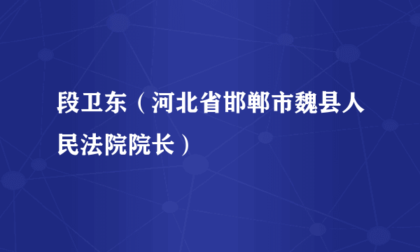 段卫东（河北省邯郸市魏县人民法院院长）