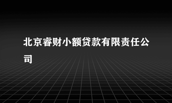 北京睿财小额贷款有限责任公司