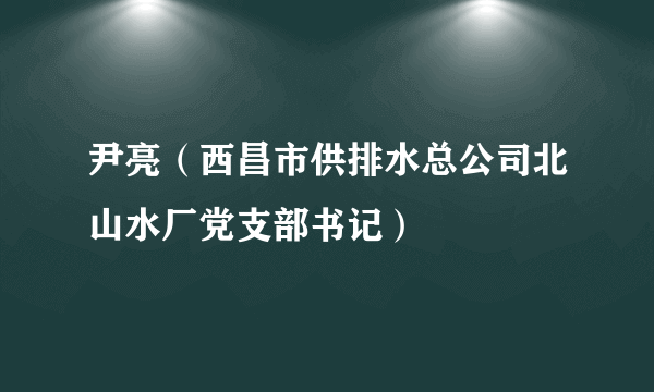 尹亮（西昌市供排水总公司北山水厂党支部书记）