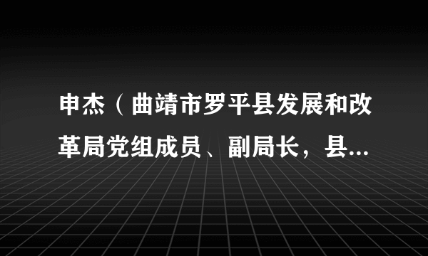 申杰（曲靖市罗平县发展和改革局党组成员、副局长，县粮食和物资储备局局长）