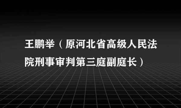 王鹏举（原河北省高级人民法院刑事审判第三庭副庭长）