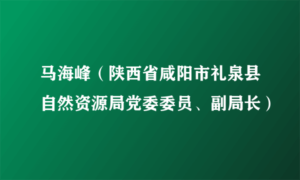 马海峰（陕西省咸阳市礼泉县自然资源局党委委员、副局长）