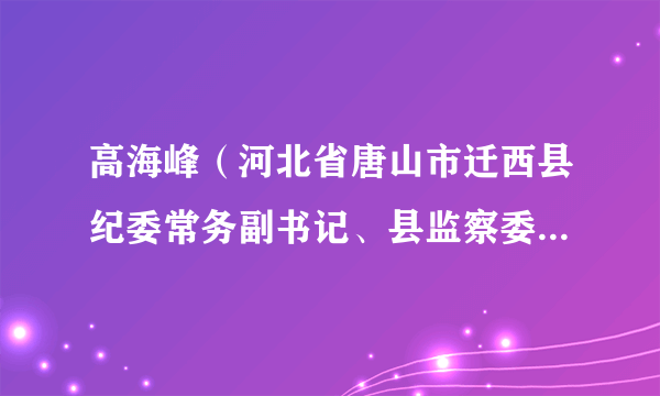 高海峰（河北省唐山市迁西县纪委常务副书记、县监察委员会副主任）