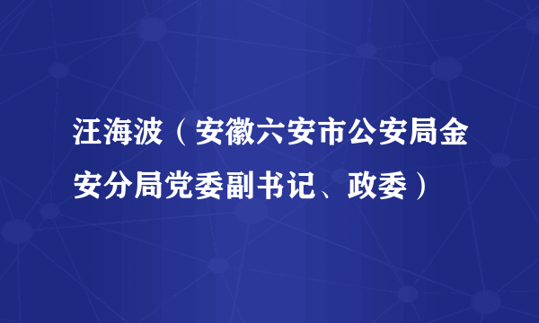 汪海波（安徽六安市公安局金安分局党委副书记、政委）