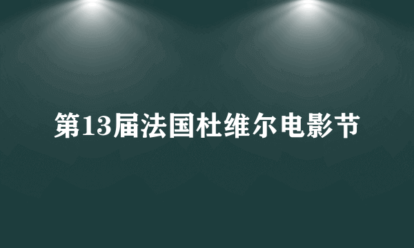 第13届法国杜维尔电影节