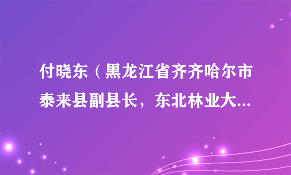 付晓东（黑龙江省齐齐哈尔市泰来县副县长，东北林业大学党委组织部副部长）