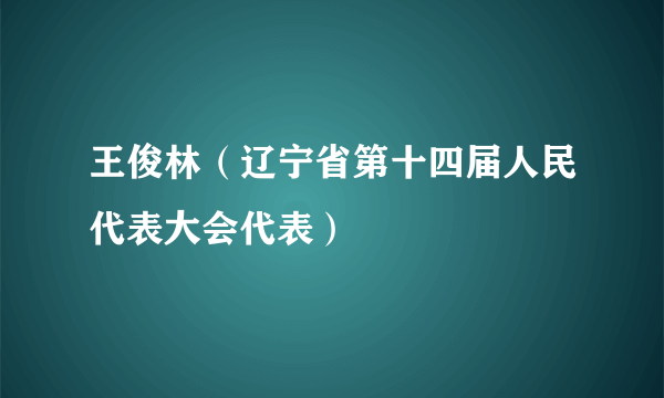 王俊林（辽宁省第十四届人民代表大会代表）