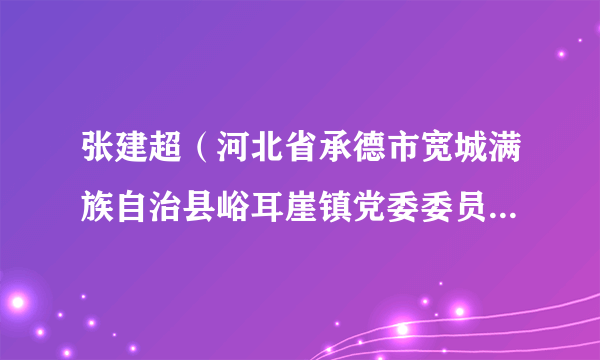 张建超（河北省承德市宽城满族自治县峪耳崖镇党委委员、人大主席）