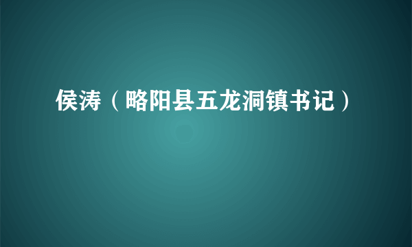 侯涛（略阳县五龙洞镇书记）