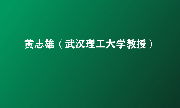 黄志雄（武汉理工大学教授）