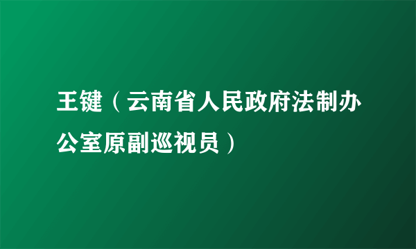 王键（云南省人民政府法制办公室原副巡视员）