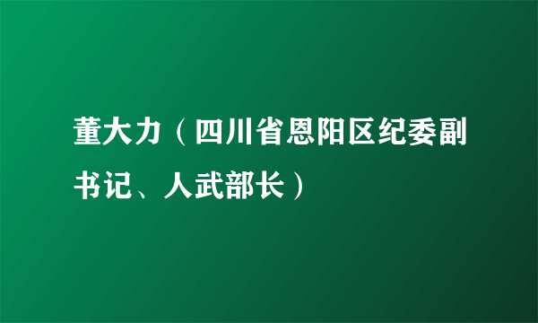 董大力（四川省恩阳区纪委副书记、人武部长）