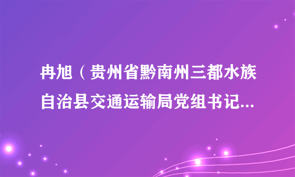 冉旭（贵州省黔南州三都水族自治县交通运输局党组书记、局长）