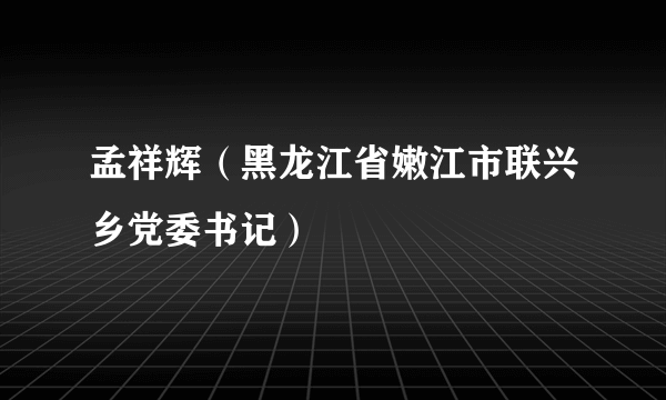 孟祥辉（黑龙江省嫩江市联兴乡党委书记）