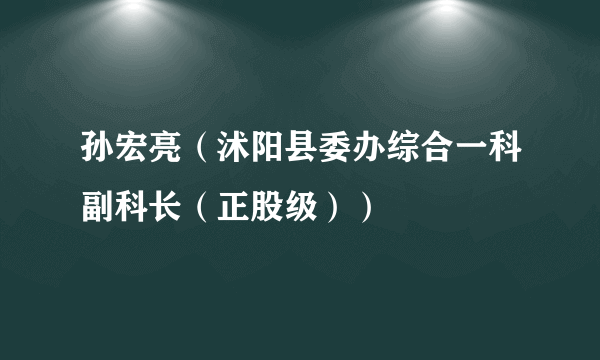 孙宏亮（沭阳县委办综合一科副科长（正股级））