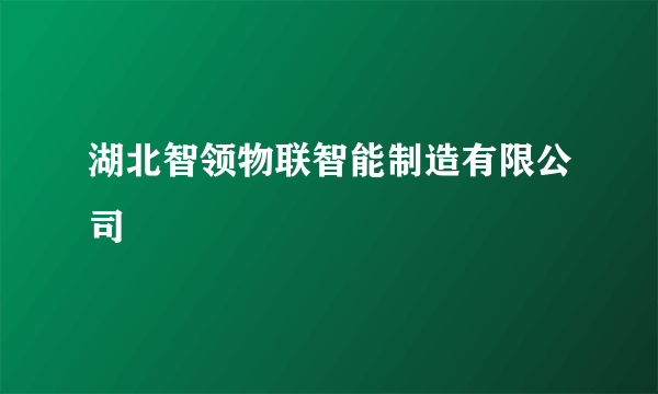 湖北智领物联智能制造有限公司