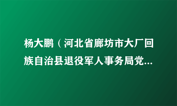 杨大鹏（河北省廊坊市大厂回族自治县退役军人事务局党组书记、局长）