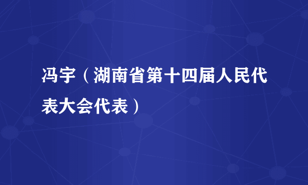 冯宇（湖南省第十四届人民代表大会代表）