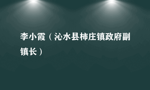 李小霞（沁水县柿庄镇政府副镇长）