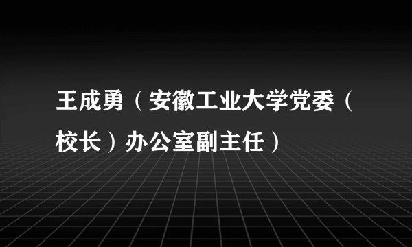 王成勇（安徽工业大学党委（校长）办公室副主任）