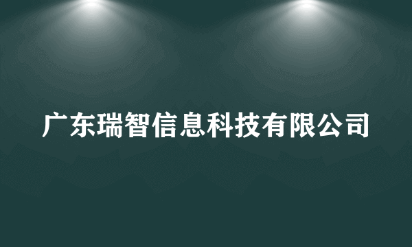 广东瑞智信息科技有限公司