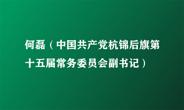 何磊（中国共产党杭锦后旗第十五届常务委员会副书记）