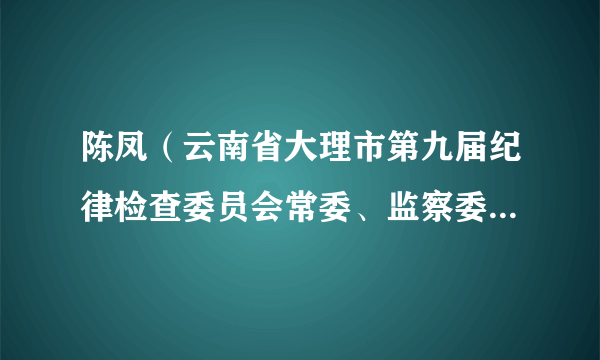 陈凤（云南省大理市第九届纪律检查委员会常委、监察委员会委员）