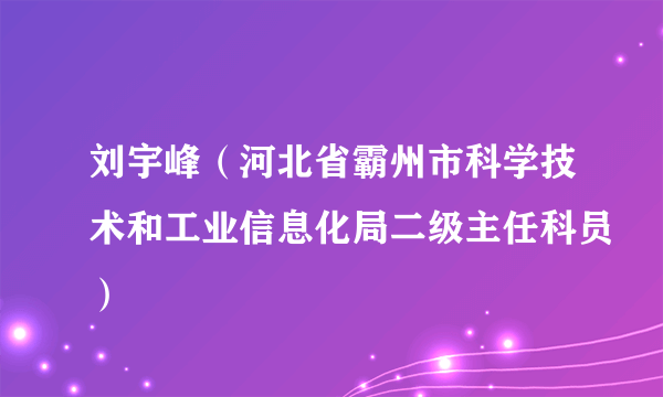 刘宇峰（河北省霸州市科学技术和工业信息化局二级主任科员）