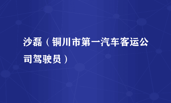 沙磊（铜川市第一汽车客运公司驾驶员）