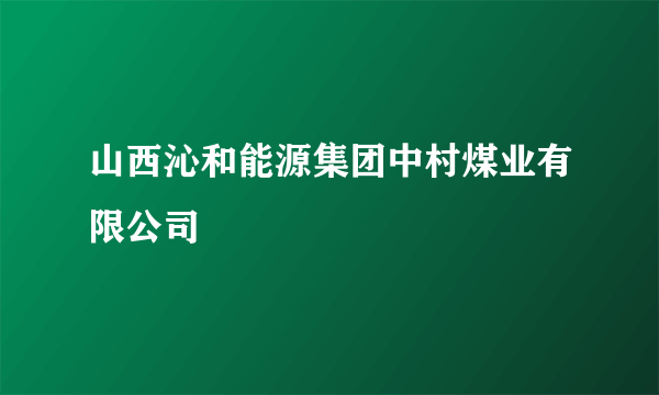 山西沁和能源集团中村煤业有限公司